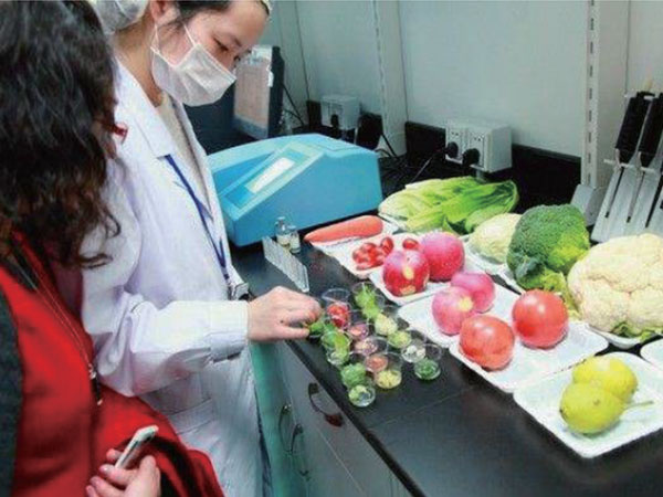 有機(jī)蔬菜配送：新鮮、健康、直送到家